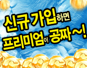 신규가입 16500원