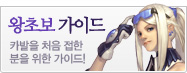 왕초보 가이드